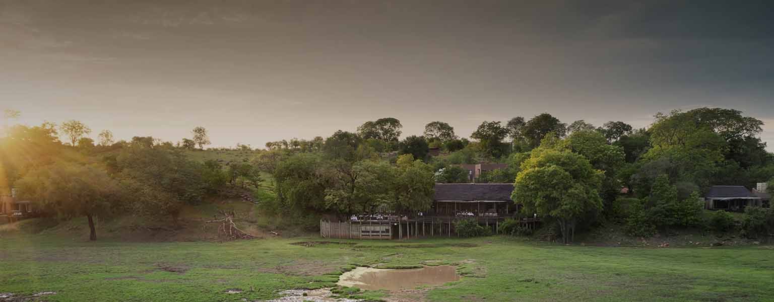 A safari lodge among the trees at sunrise
