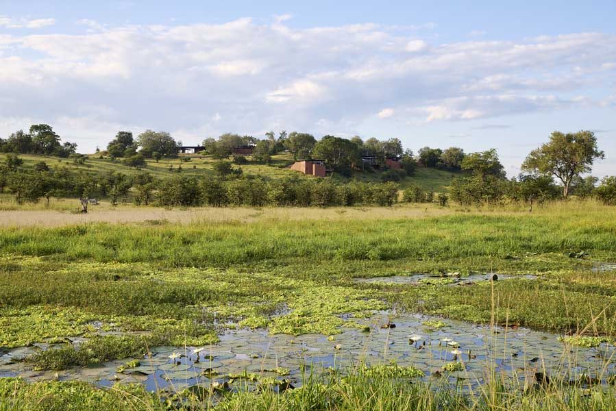 Lily-covered wetland below Chichele