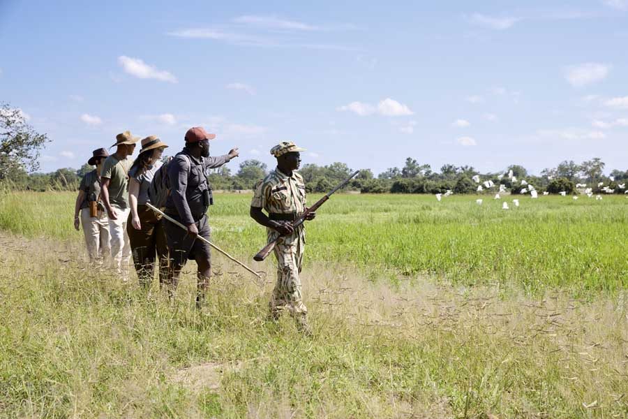 A guided walking safari crossing open grassland