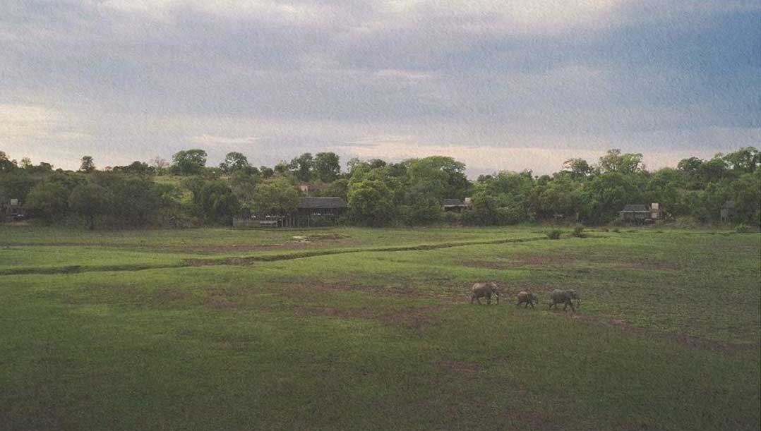 Puku Ridge lodge