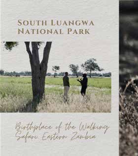 Guided Walking Safaris