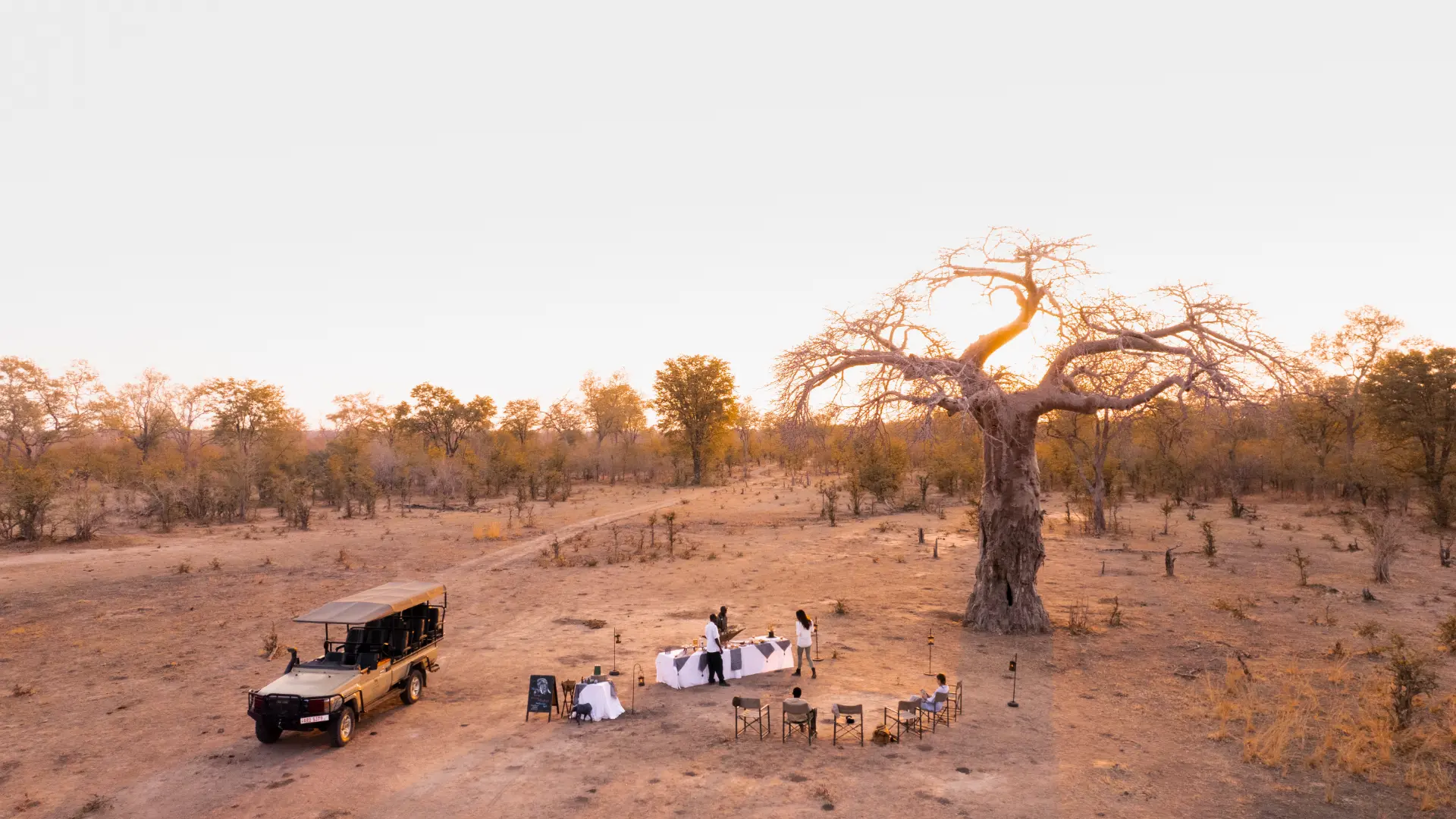 Zllc puku ridge baobab dinner